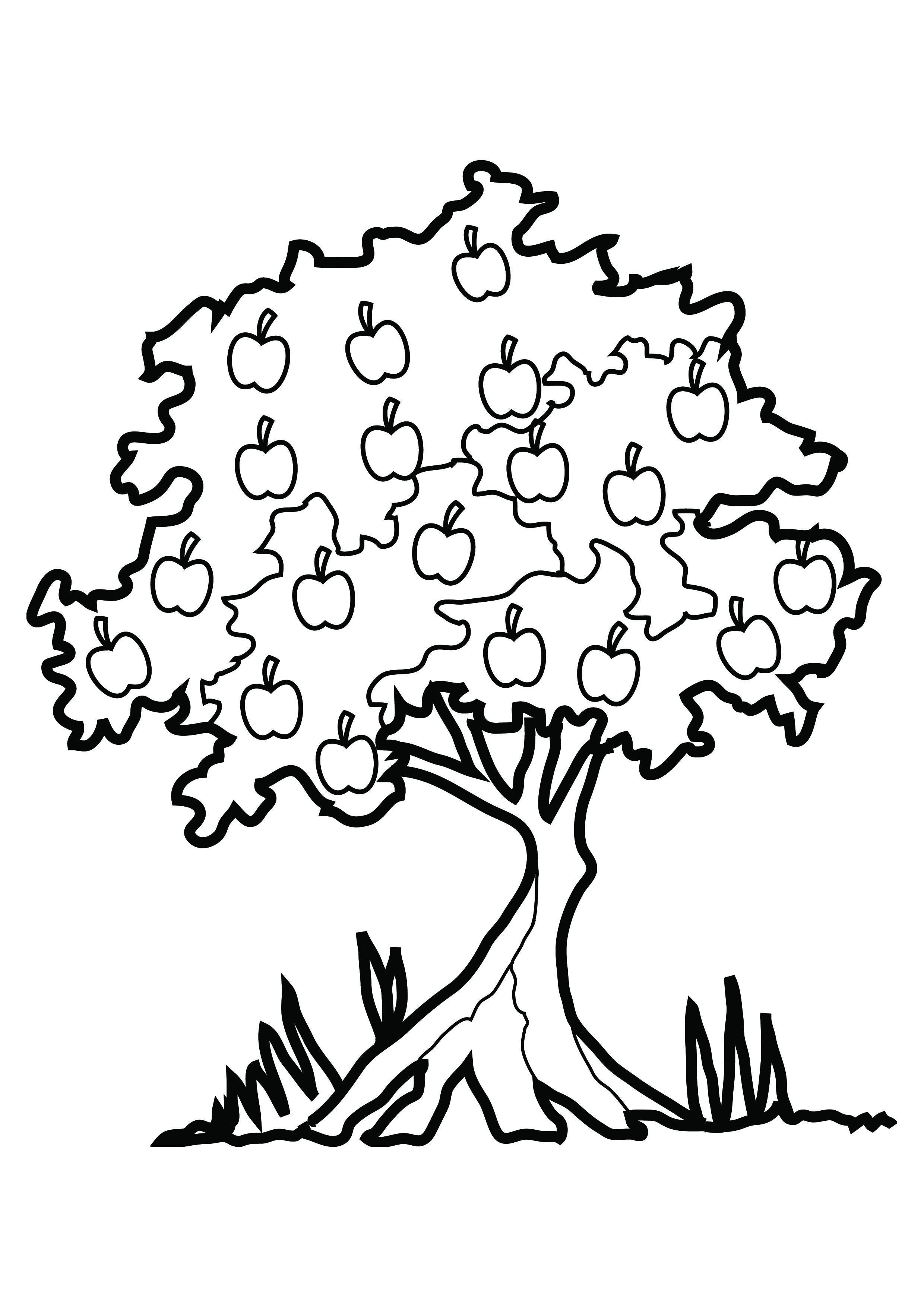 images of trees coloring pages - photo #4