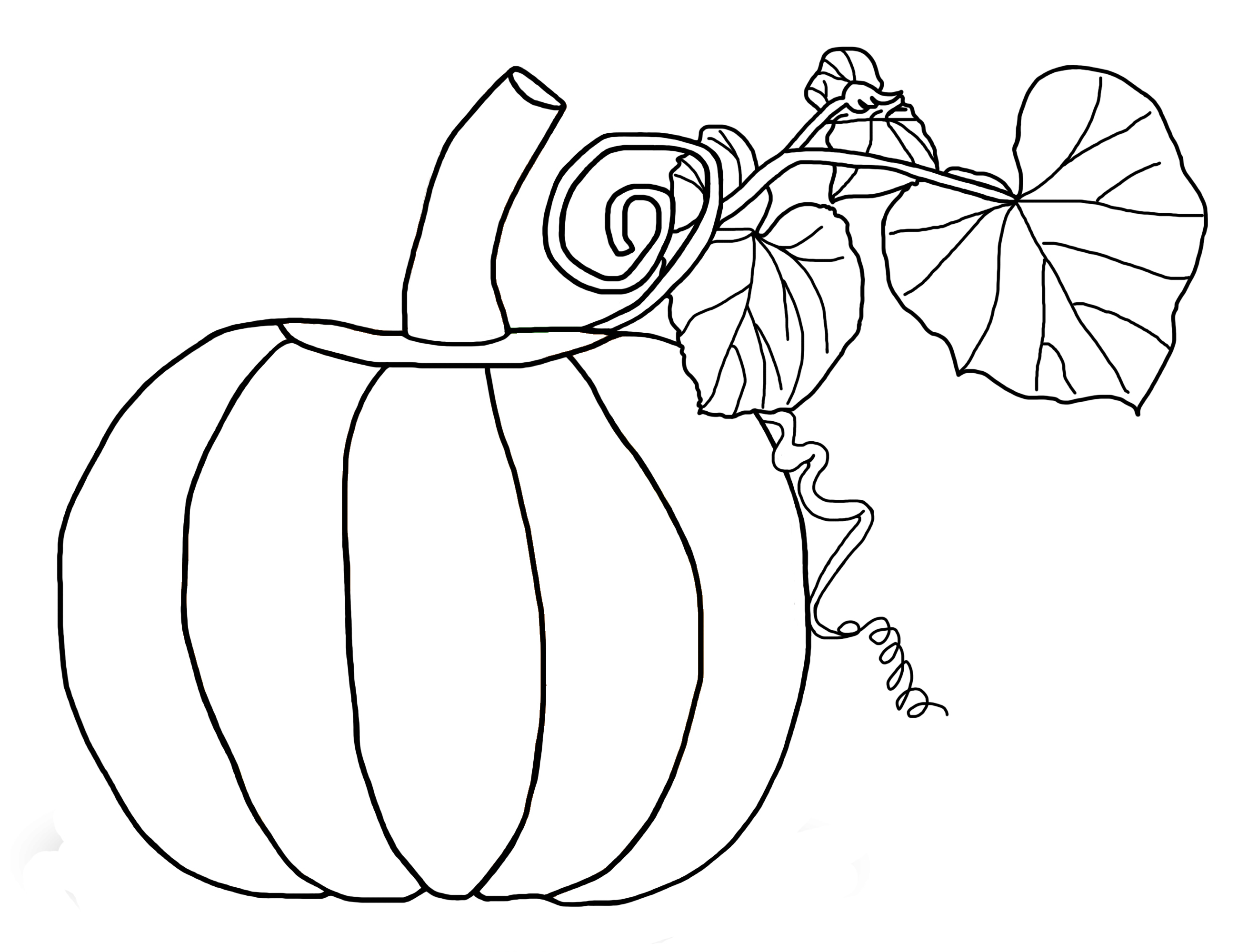 Free Printable Pumpkin Color Sheets