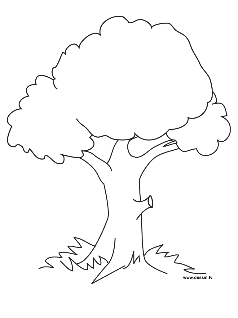 tree coloring pages and activities - photo #1