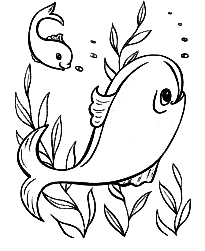 ocean fish coloring pages - photo #14