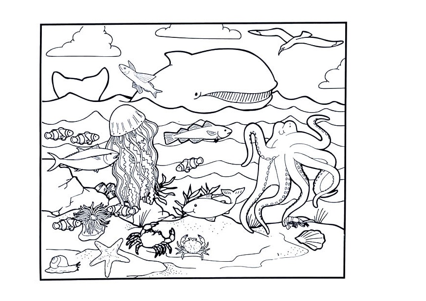 ocean creatures coloring pages to print - photo #42