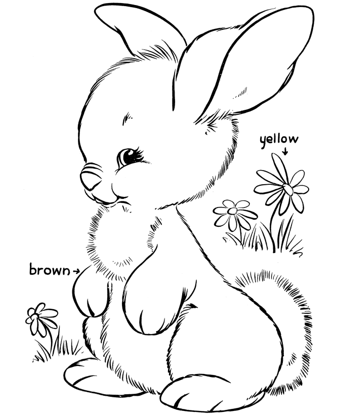 easter bunny coloring pages - photo #3