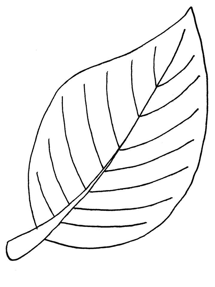 e tree leaf Colouring Pages