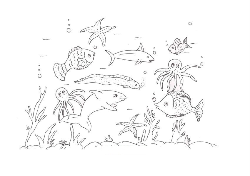 ocean creatures coloring pages - photo #38