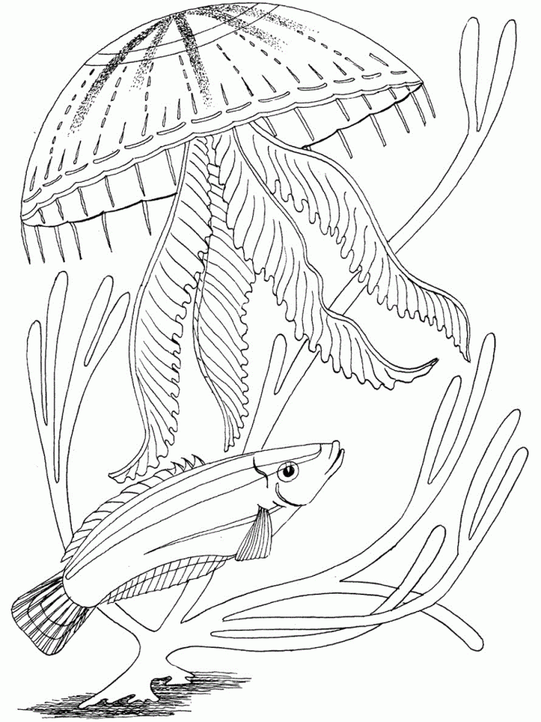 printable ocean coloring pages for kids - photo #40