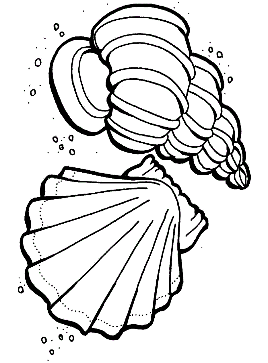 ocean animal coloring pages for preschoolers - photo #6