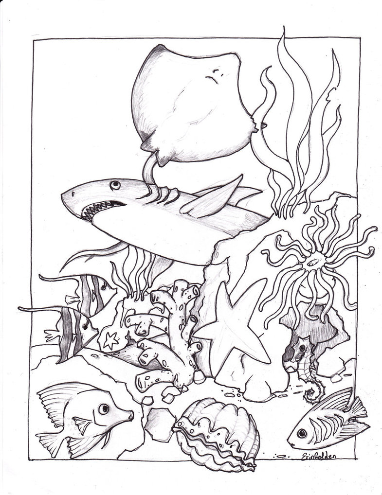 under sea creature coloring pages - photo #35