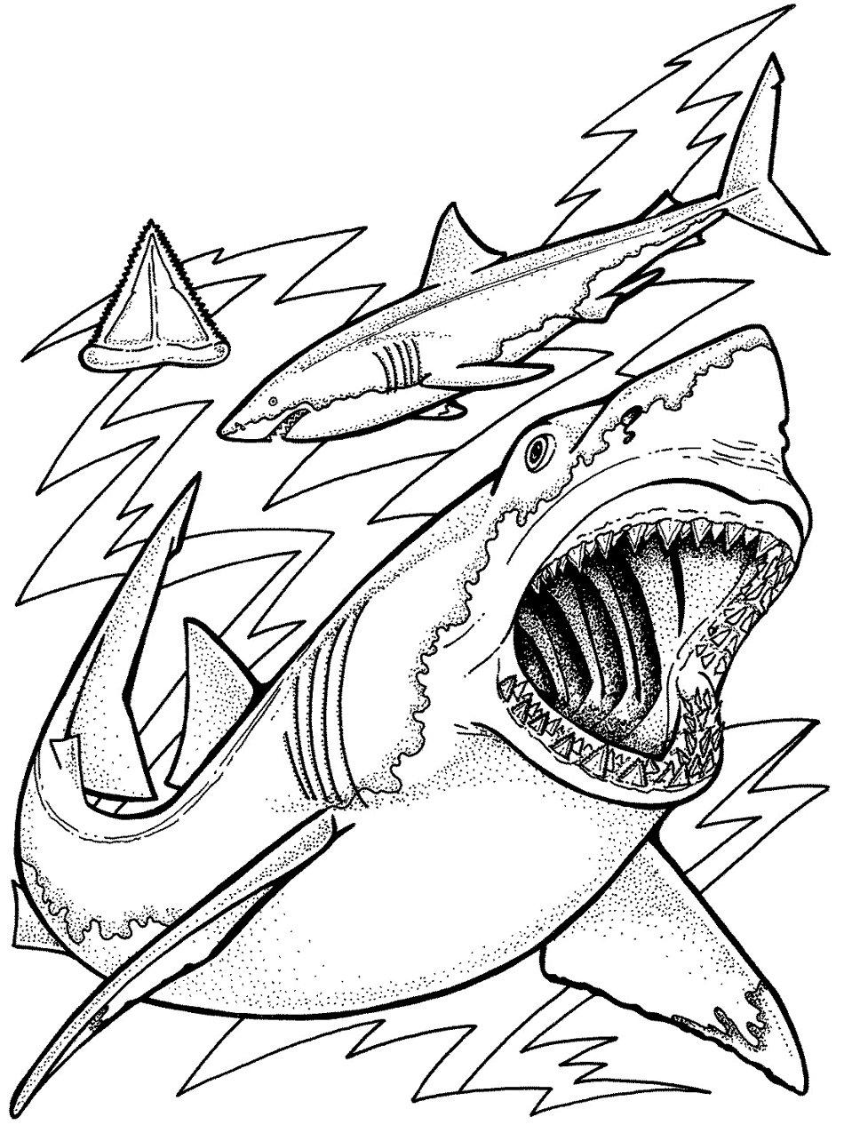 coloring pages ocean animals - photo #34