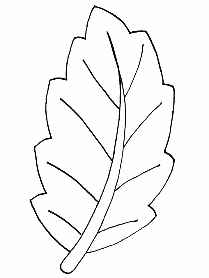 leaf shapes Colouring Pages