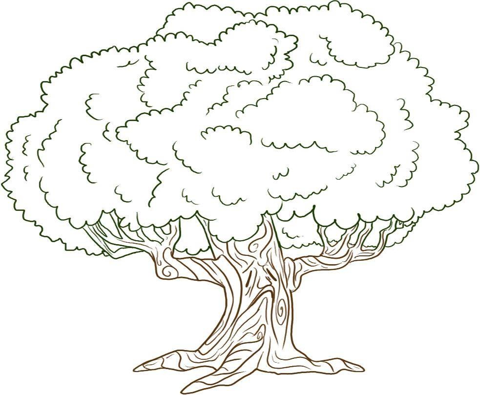 oak tree coloring pages - photo #2