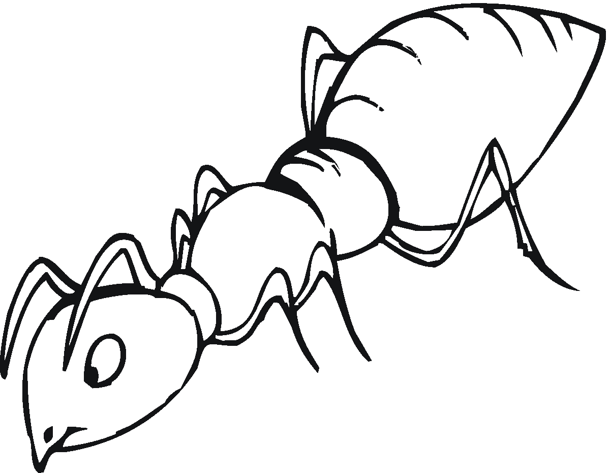 free ant clipart black and white - photo #46