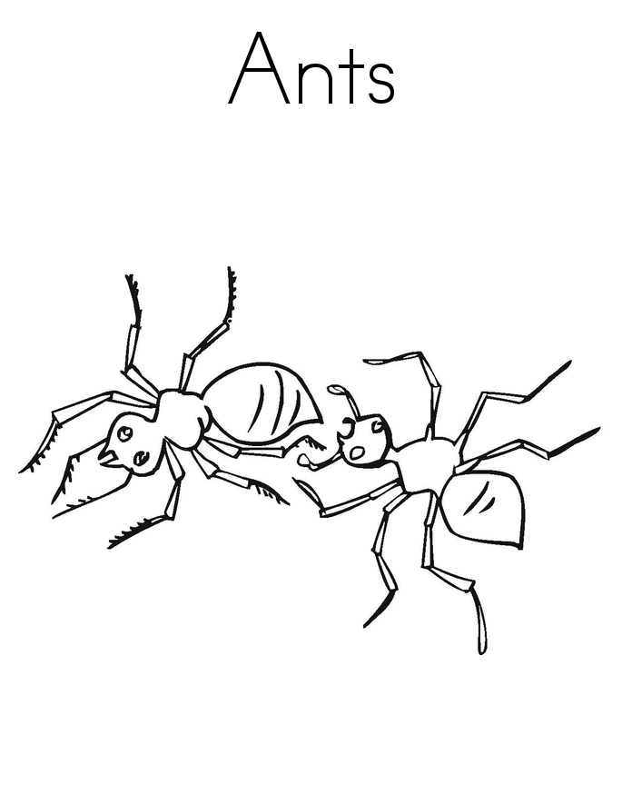 Gambar Free Printable Ant Coloring Pages Kids Ants Page Book Insects Di 