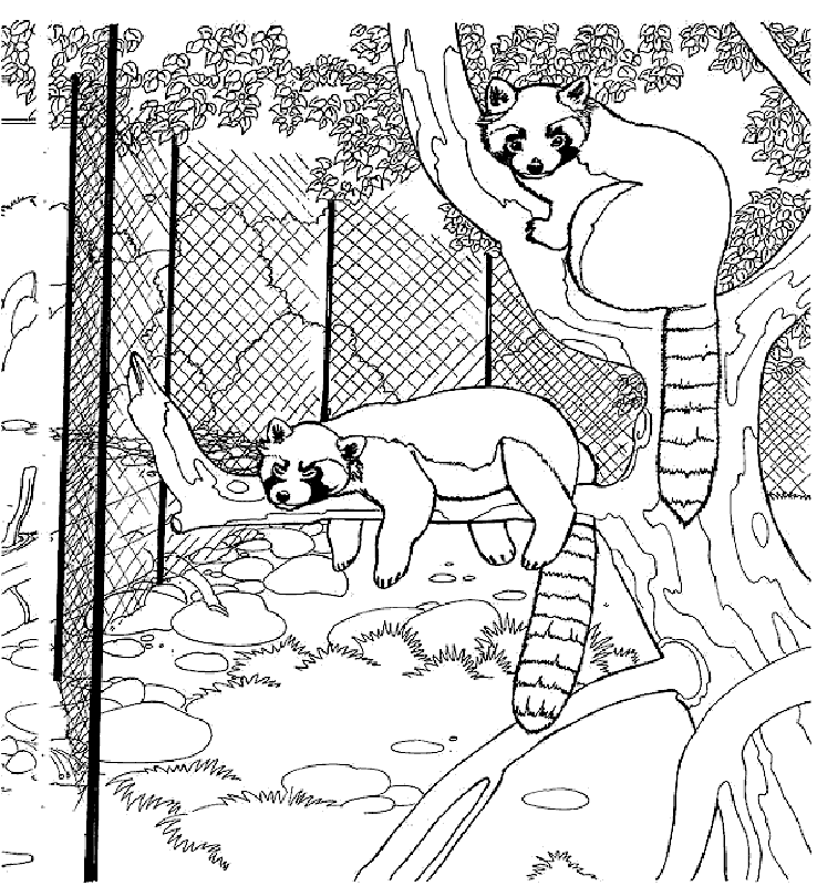 zoo animal coloring pages for kids printable - photo #16