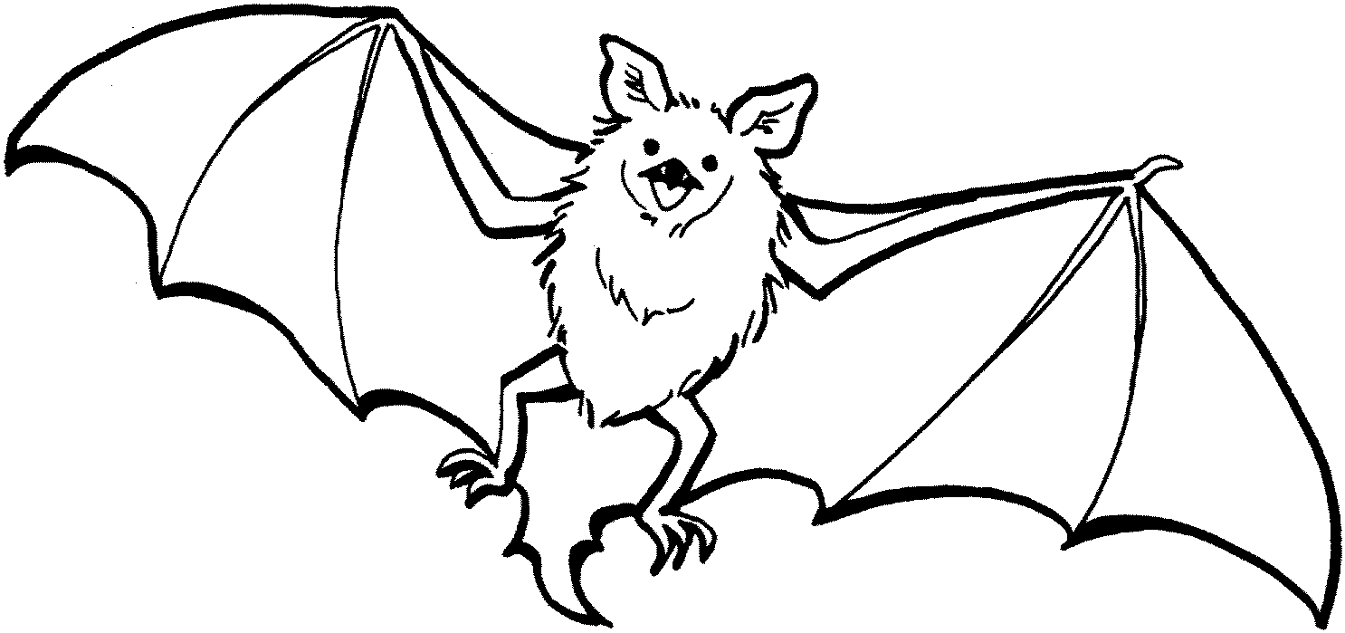 halloween bats coloring pages free printables - photo #37