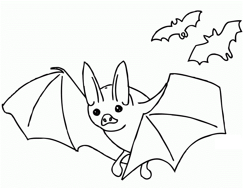 Bat Coloring Pages - Kidsuki