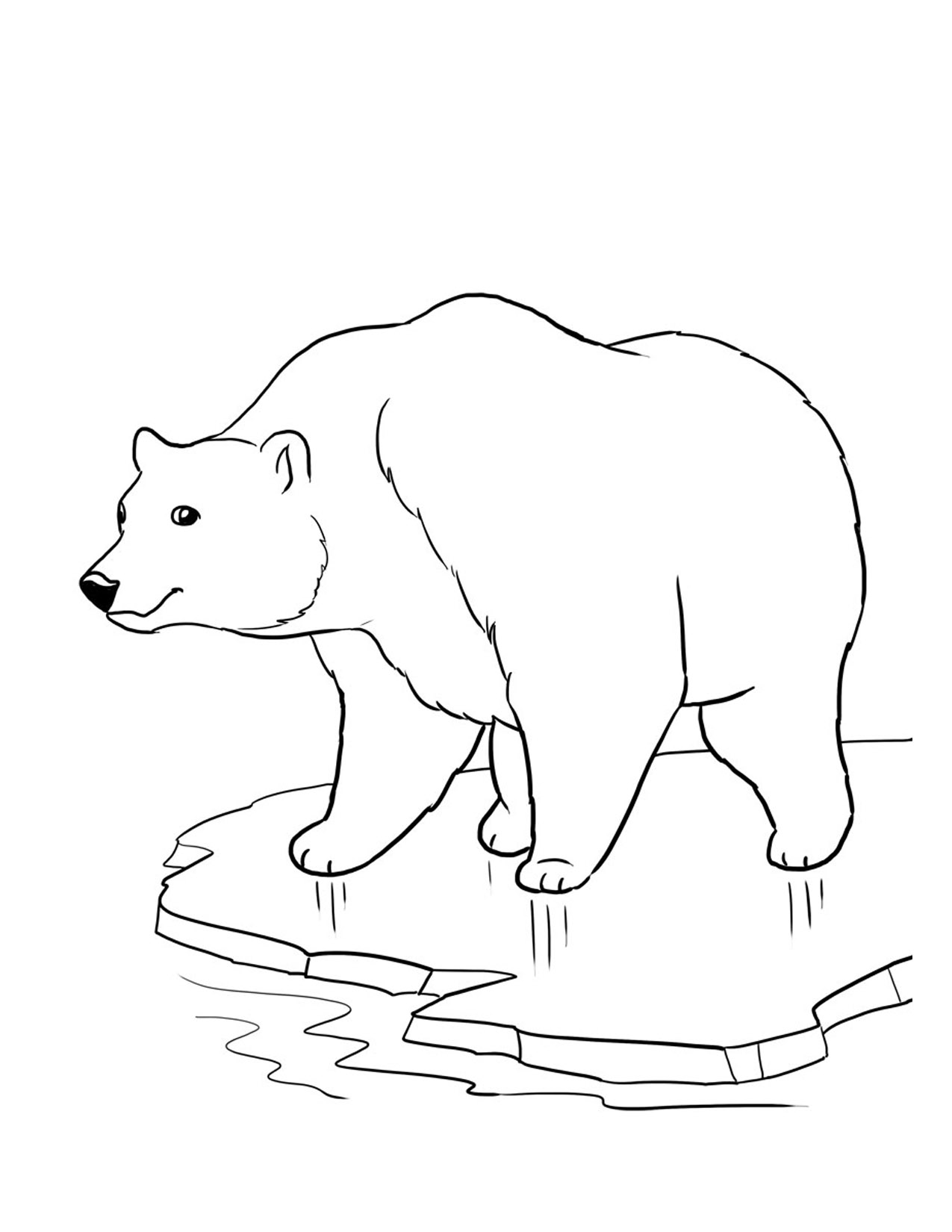 coloring pages of bears - photo #45