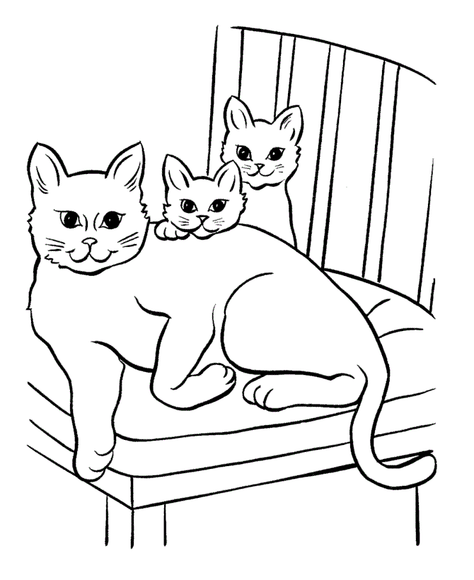 images of cat coloring pages - photo #27