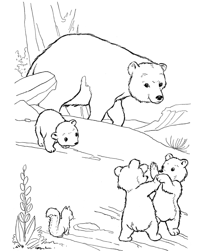 black bear coloring pages printable - photo #8