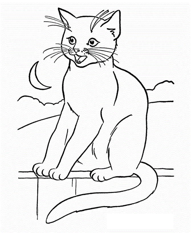 Free Printable Cat Coloring Pages For Kids