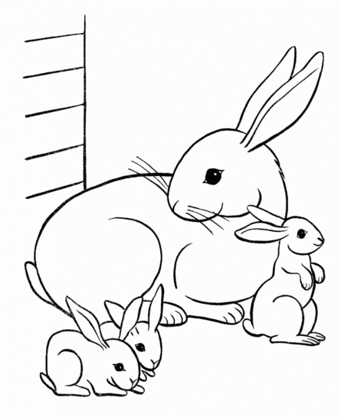 rabbit coloring pages for free - photo #3