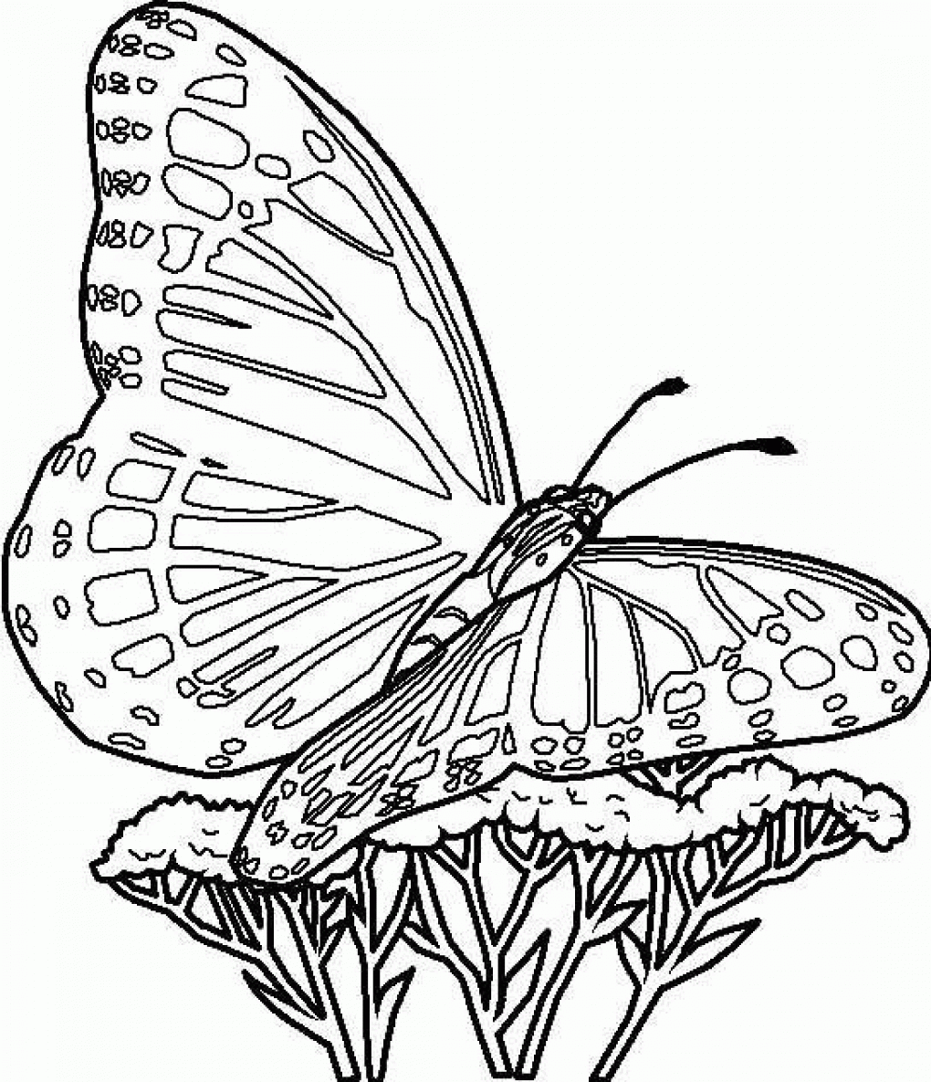 free-printable-butterfly-coloring-pages-for-kids