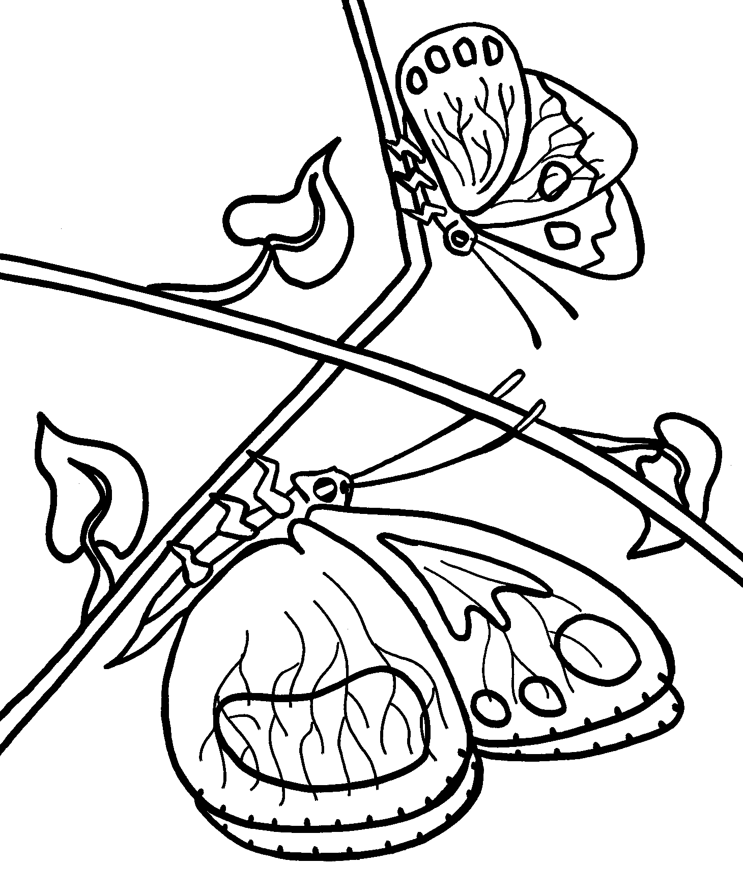 Free Printable Butterfly Coloring Pages For Kids