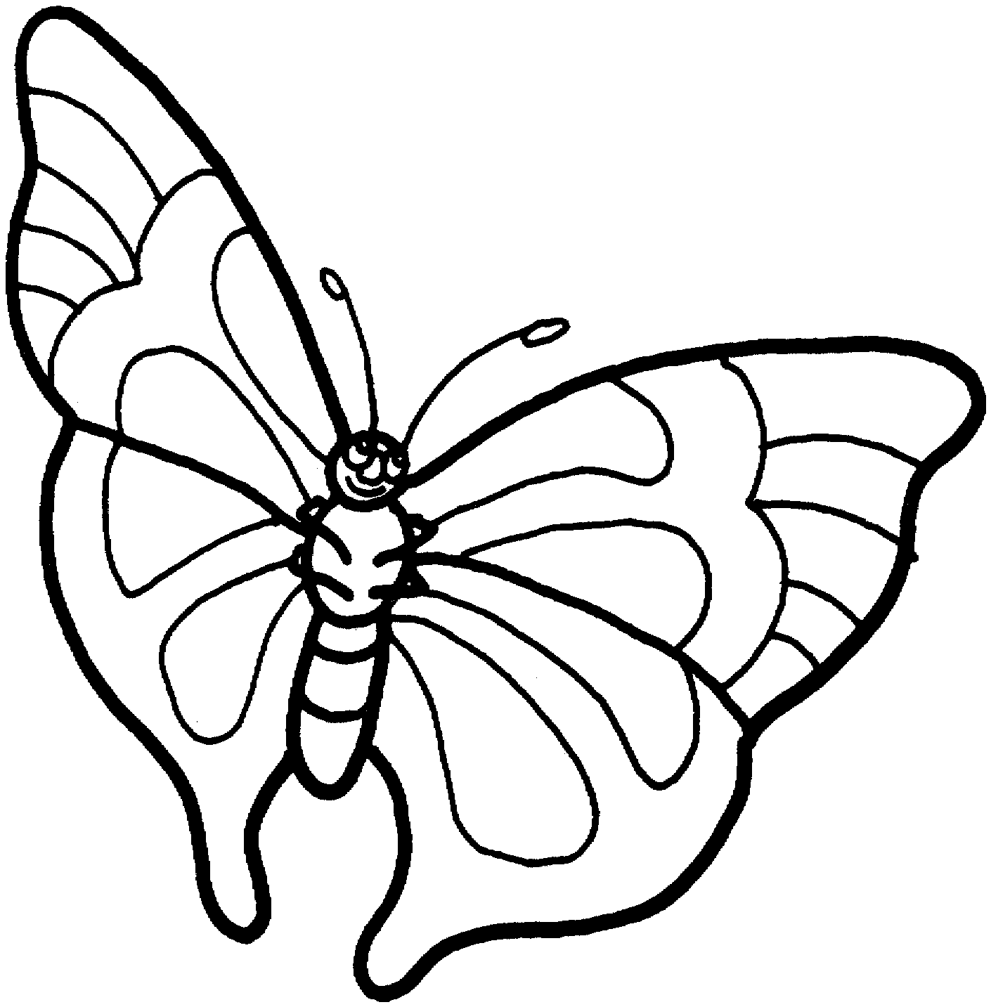 Black And White Butterfly Drawing