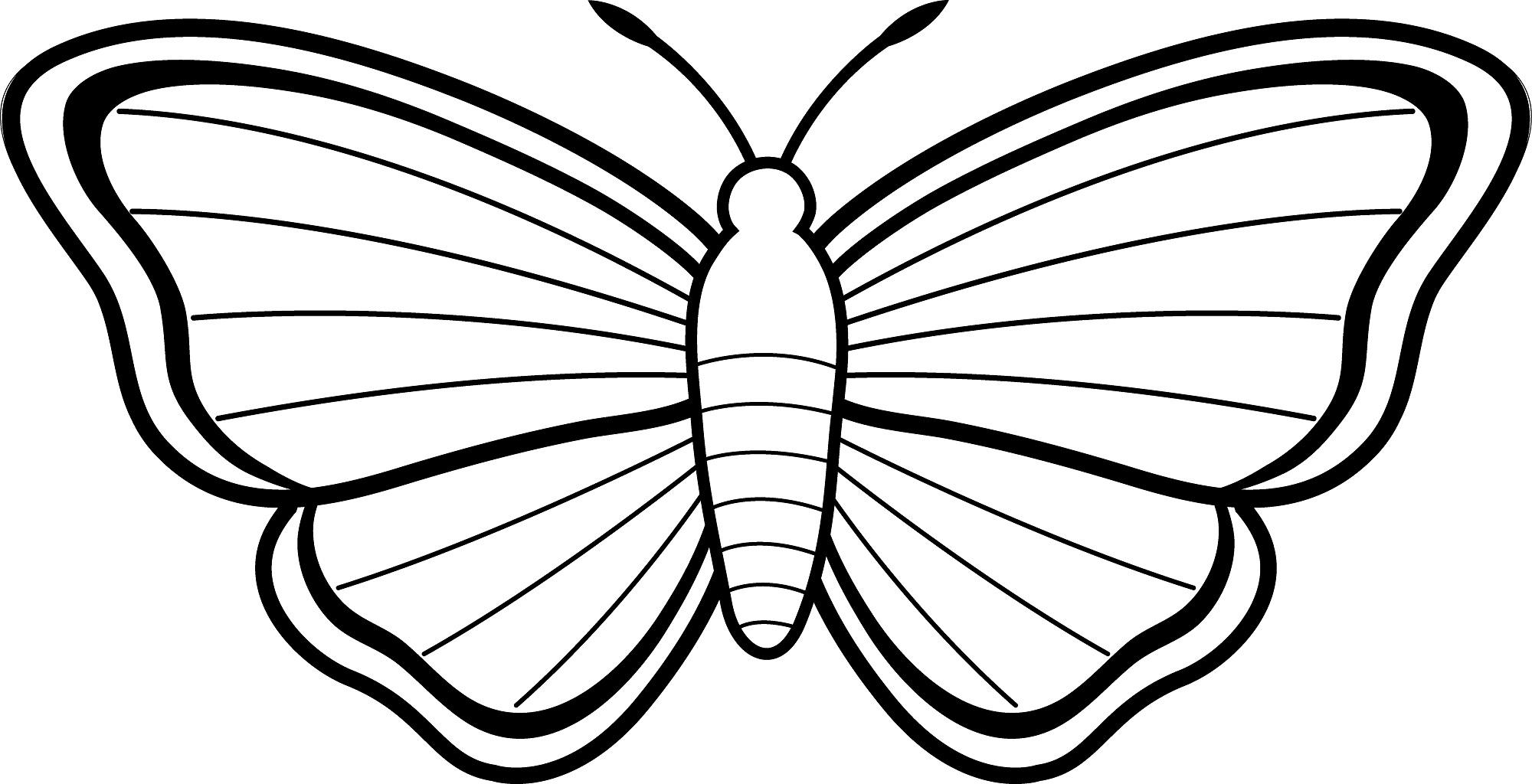 Black And White Butterfly Drawing