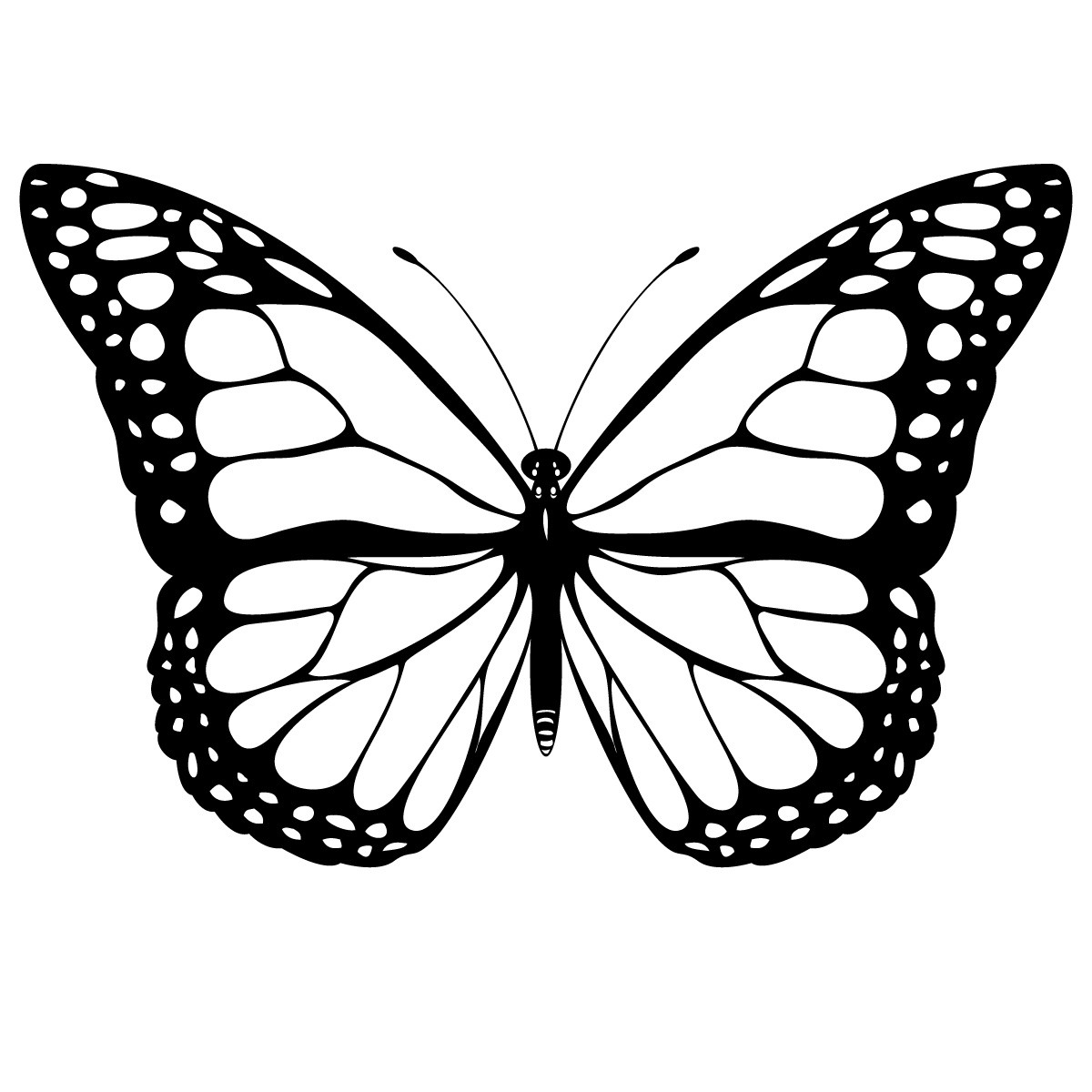 Free Printable Coloring Pages Butterfly 2015 Lunawsome