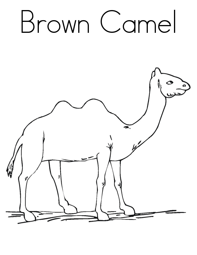 camel pages for coloring - photo #46