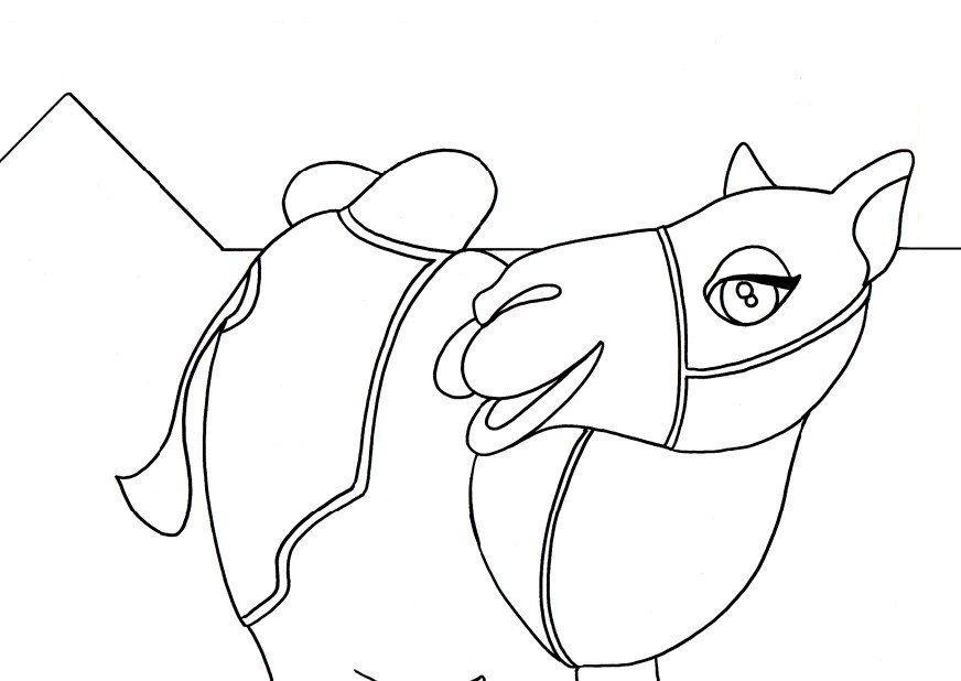 camle coloring pages for kids - photo #12