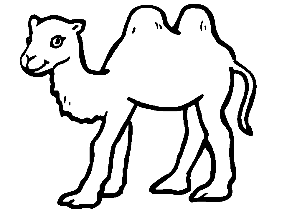 camel pages for coloring - photo #6