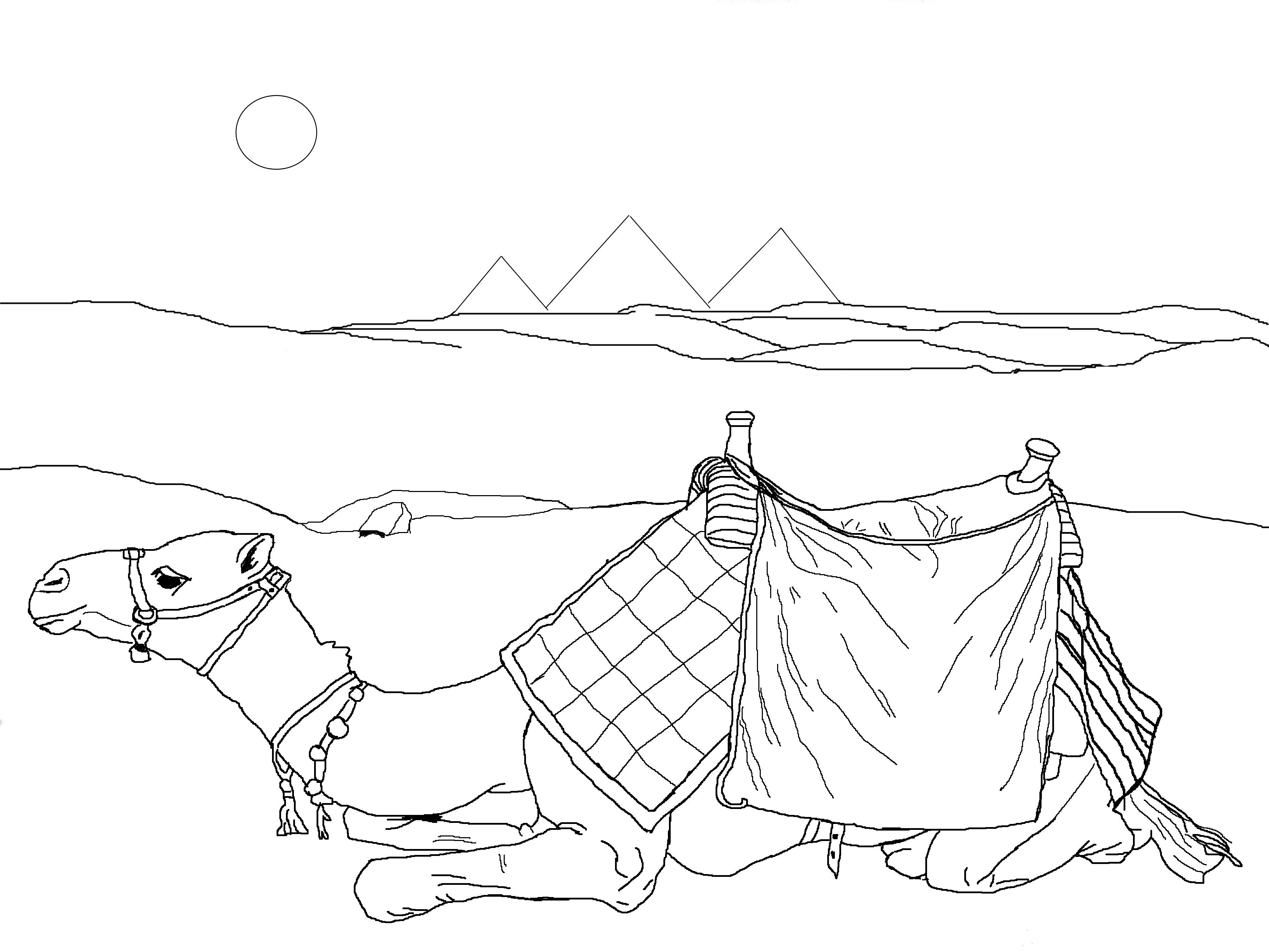 camel coloring pages for kids - photo #23