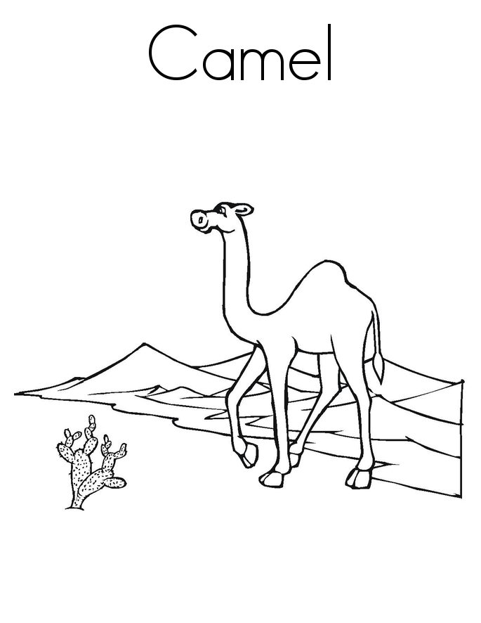 camel pages for coloring - photo #30