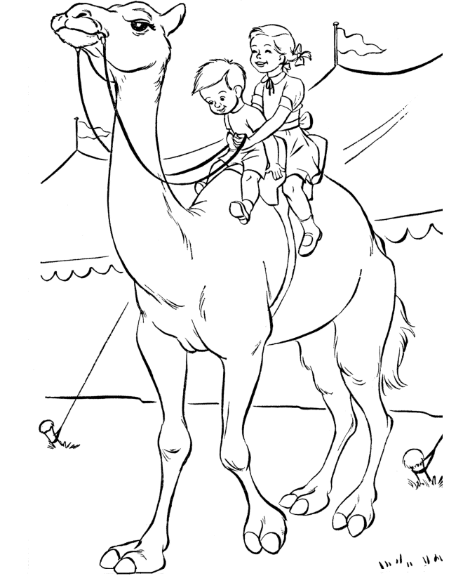 camel coloring pages for kids - photo #14