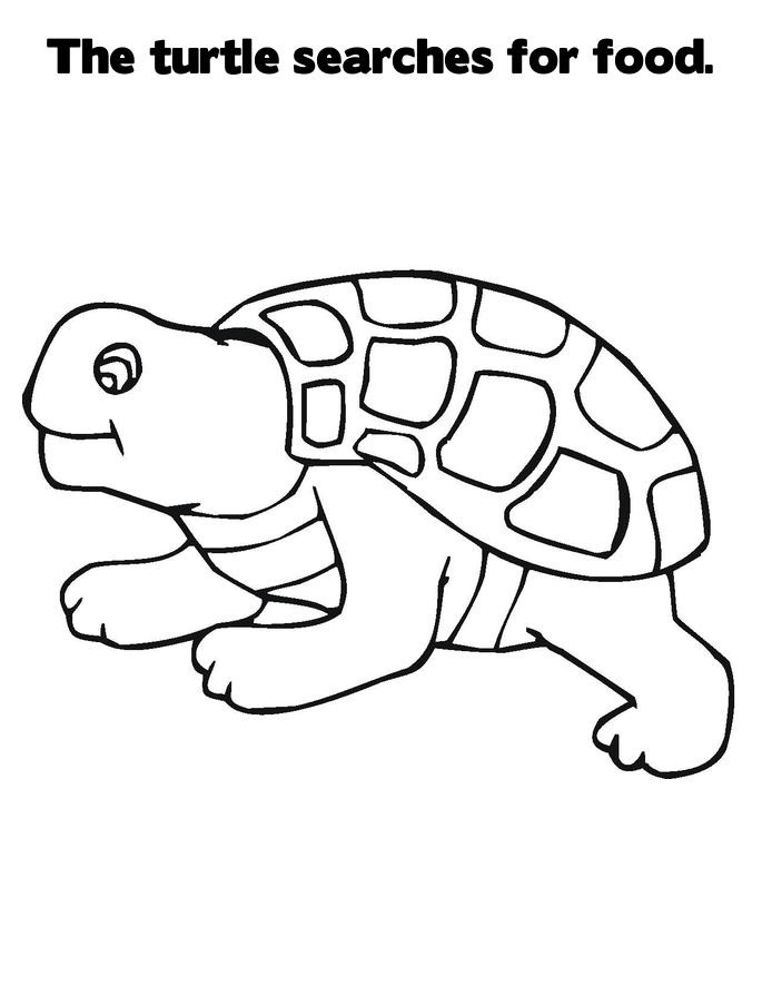 sad turtle coloring pages - photo #30