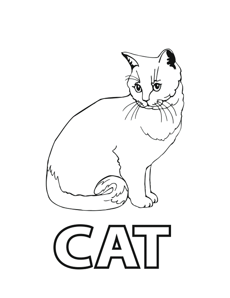 images of cat coloring pages - photo #4