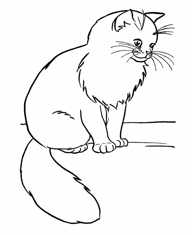 free-printable-cat-coloring-pages-for-kids