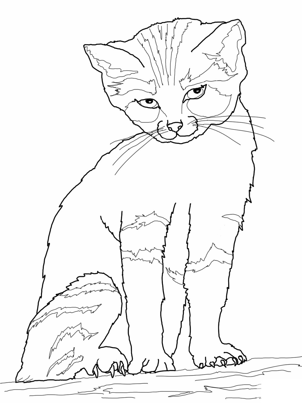 tabby cat coloring pages - photo #43