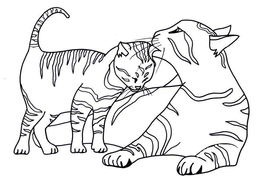 images of cat coloring pages - photo #32