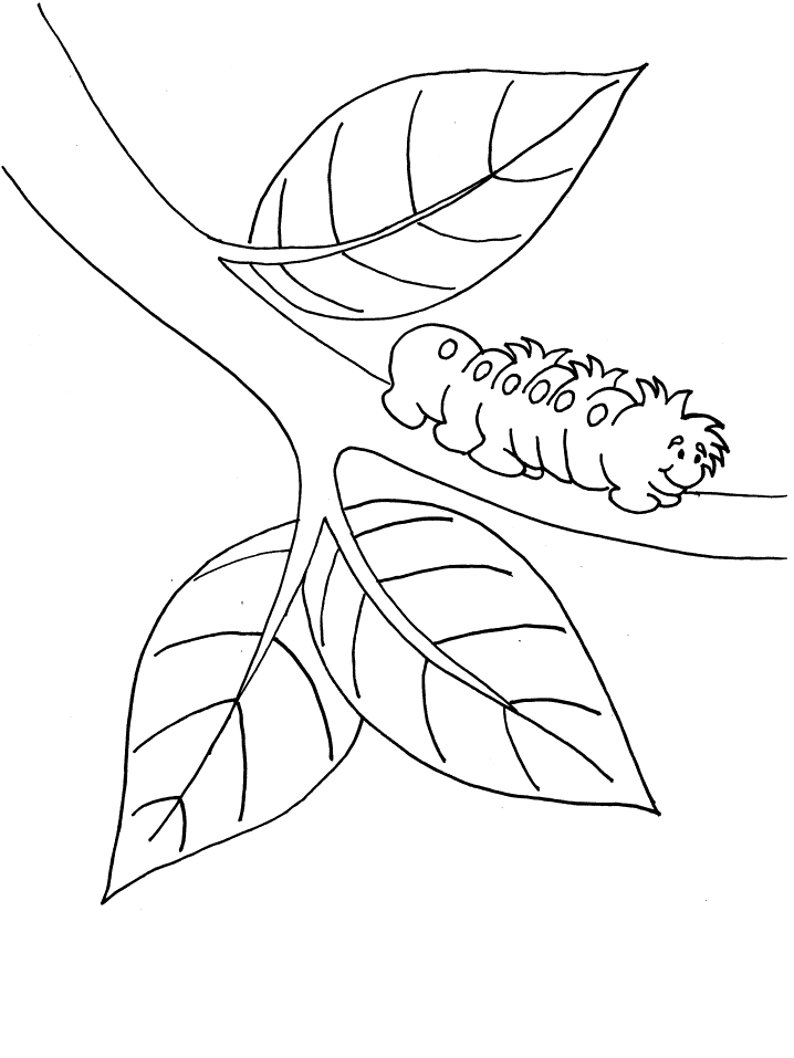 Free Printable Caterpillar Coloring Pages For Kids