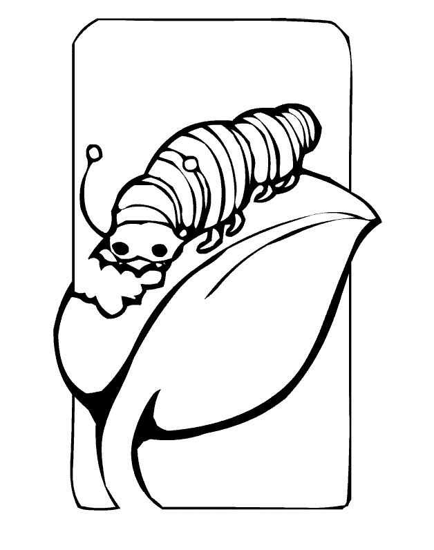 Caterpillar Coloring Pages - Kidsuki