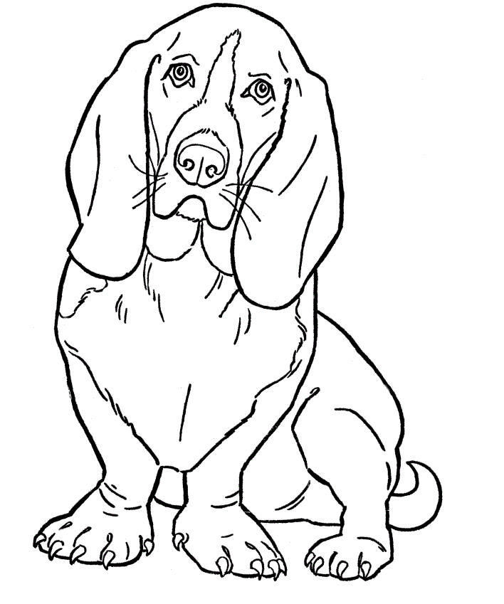 images of dog coloring pages for kids - photo #7