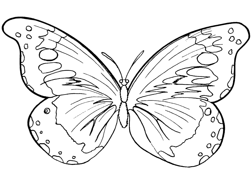 Free Printable Butterfly Coloring Pages For Kids