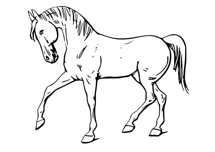 images of coloring pages of horses - photo #2