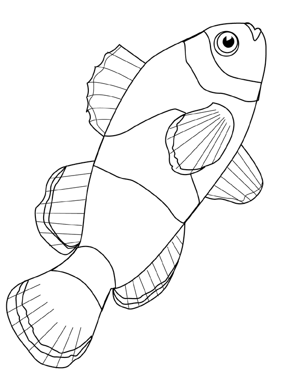 labeled diagram viper fish coloring pages - photo #9