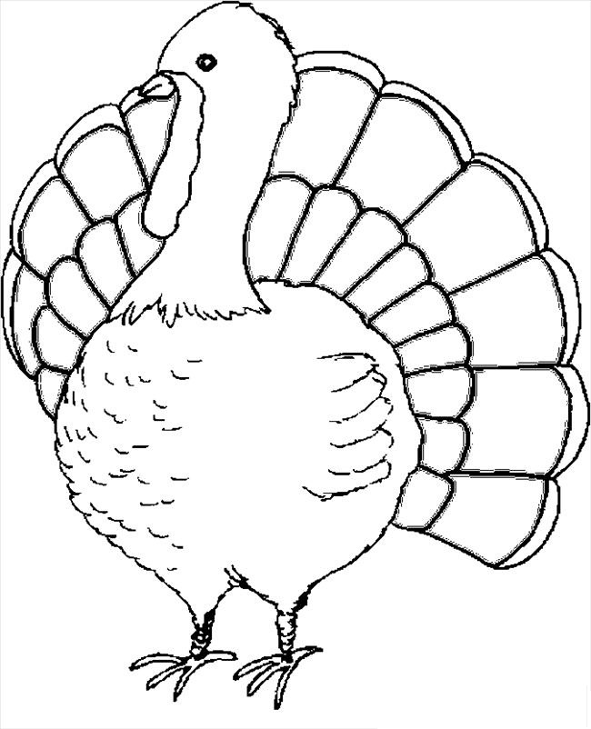 images of turkey coloring pages - photo #11