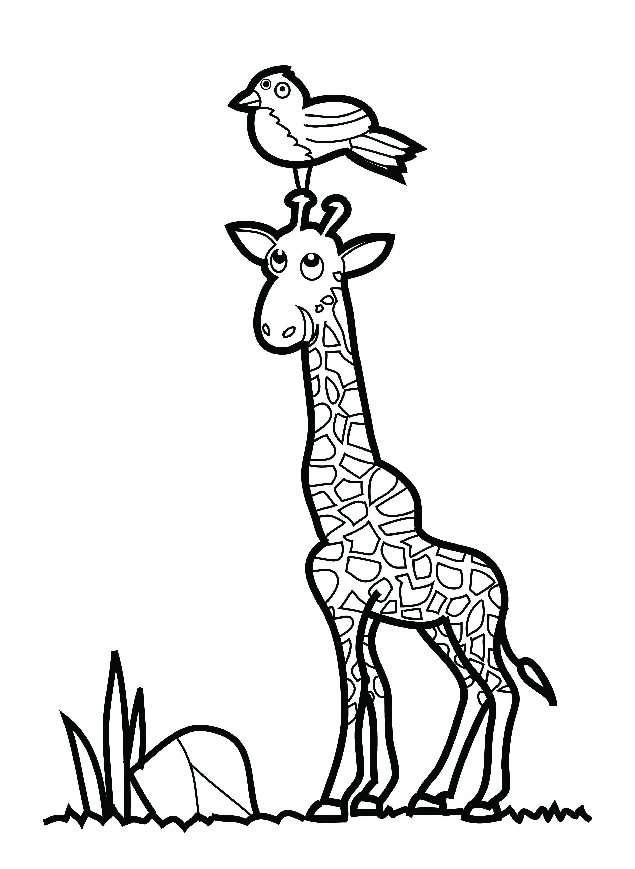 giraffe coloring printable