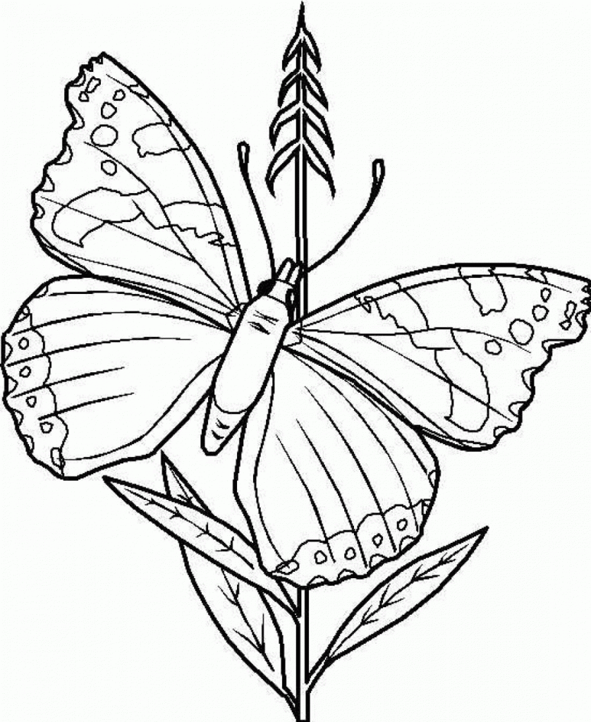 butterfly-coloring-pages