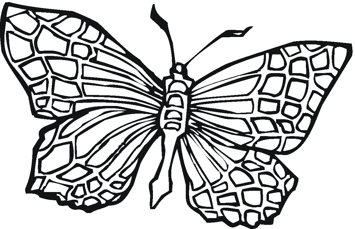 b for butterfly coloring pages - photo #30